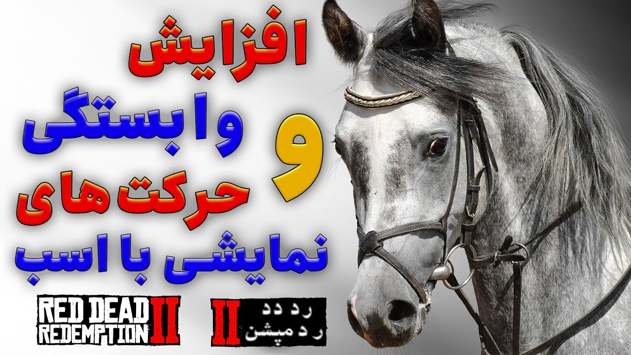 راه های افزایش وابستگی اسب | آموزش انجام حرکت های نمایشی با اسب در رد دد ردمپشن 2