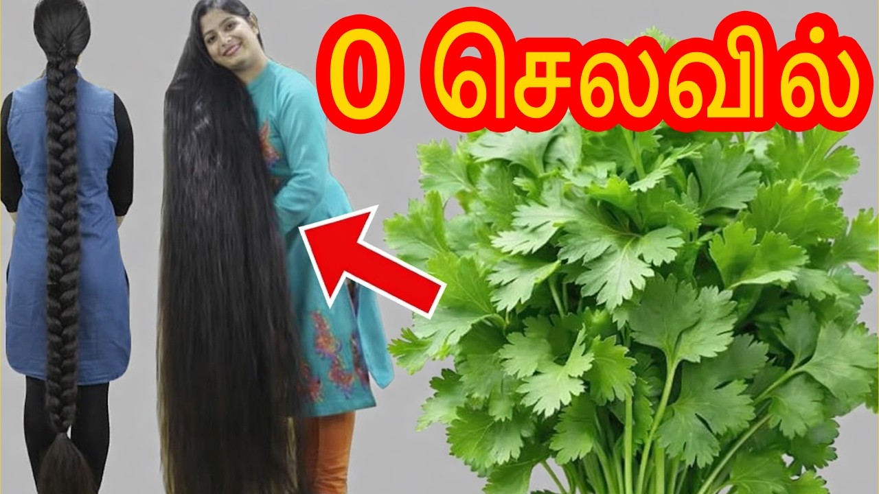 0 செலவில் முடியை அடர்த்தியாக்கலாம்| fast hair growth tips in tamil |  hair growth tips tamil