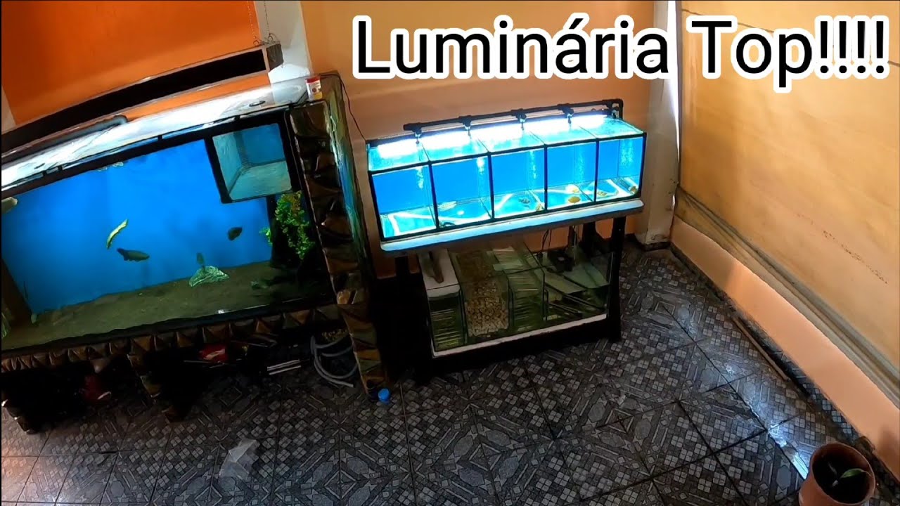 Luminária de Aquário Simples,,,Barata,,Funcional !!!!! (Receba está dica)