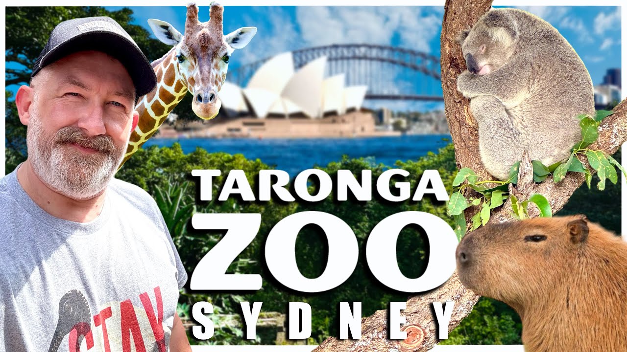SYDNEY TARONGA ZOO - A Zoo with the BEST VIEW! Things to do in Sydney Australia 🇦🇺