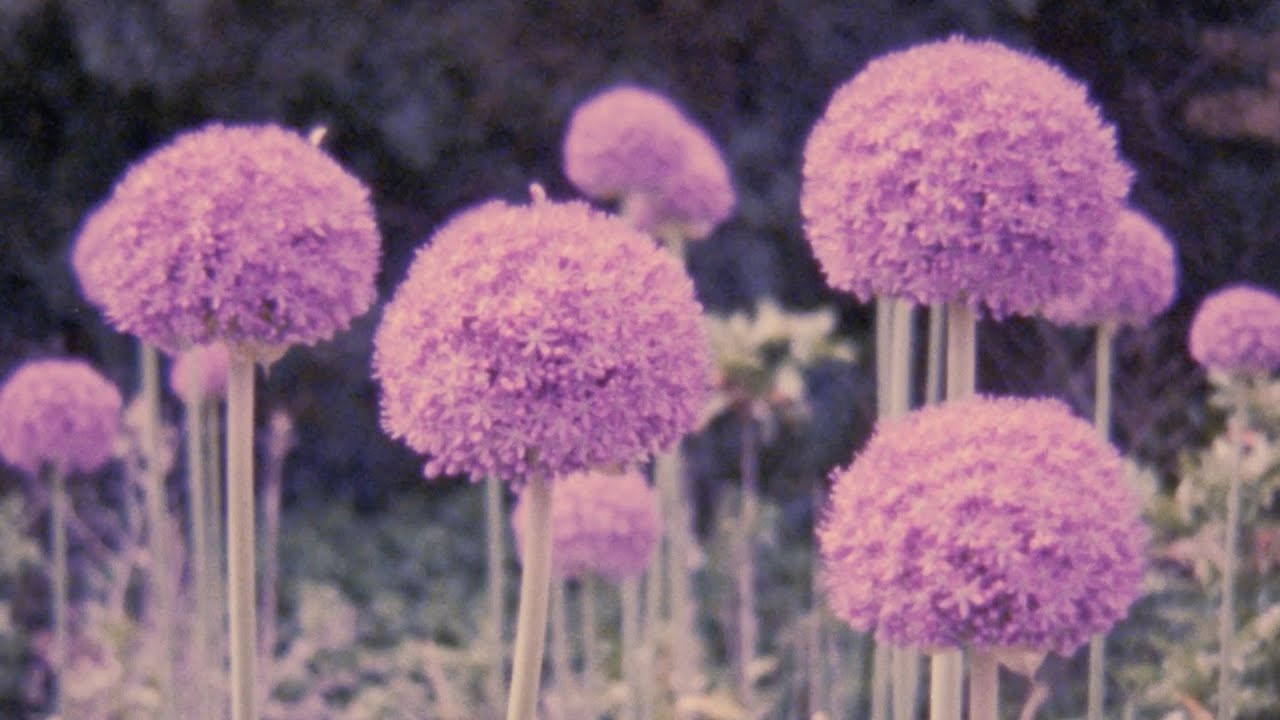 Beno&icirc;t Pioulard - Steeples Writhe