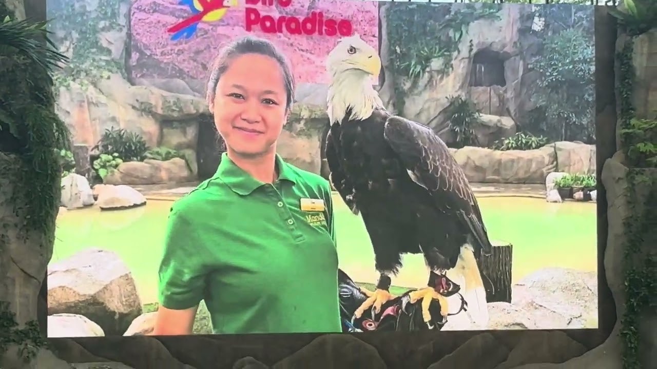 Singapore zoo show