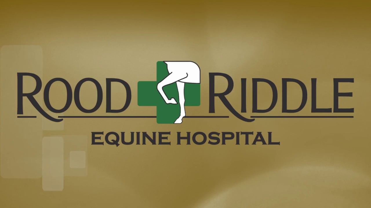 Rood & Riddle Interns