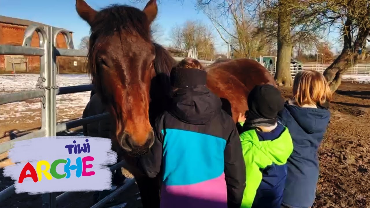 Arche Tiwi – Folge 4 (Tiere auf der Kinder-Ranch, Interviews & Tassenkuchen)