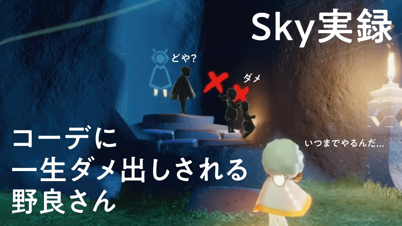 コーデにダメ出しされまくる野良さん［sky実録］