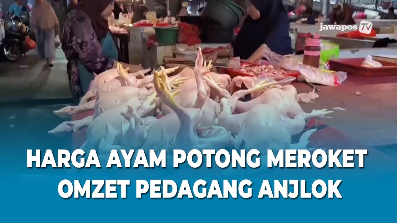 HARGA AYAM POTONG MEROKET, OMZET PEDAGANG ANJLOK