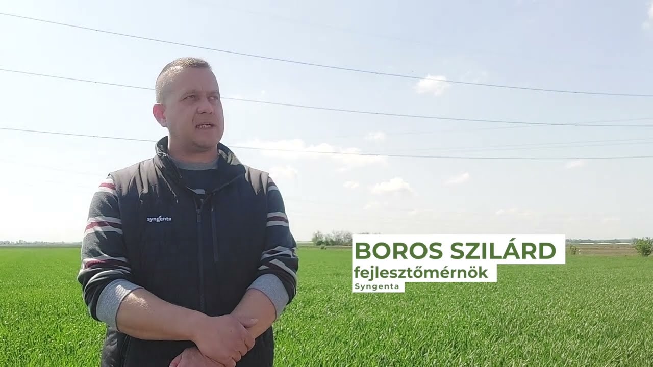 Berobbantak a kalászos gombabetegségei, eljött az Elatus Era ideje