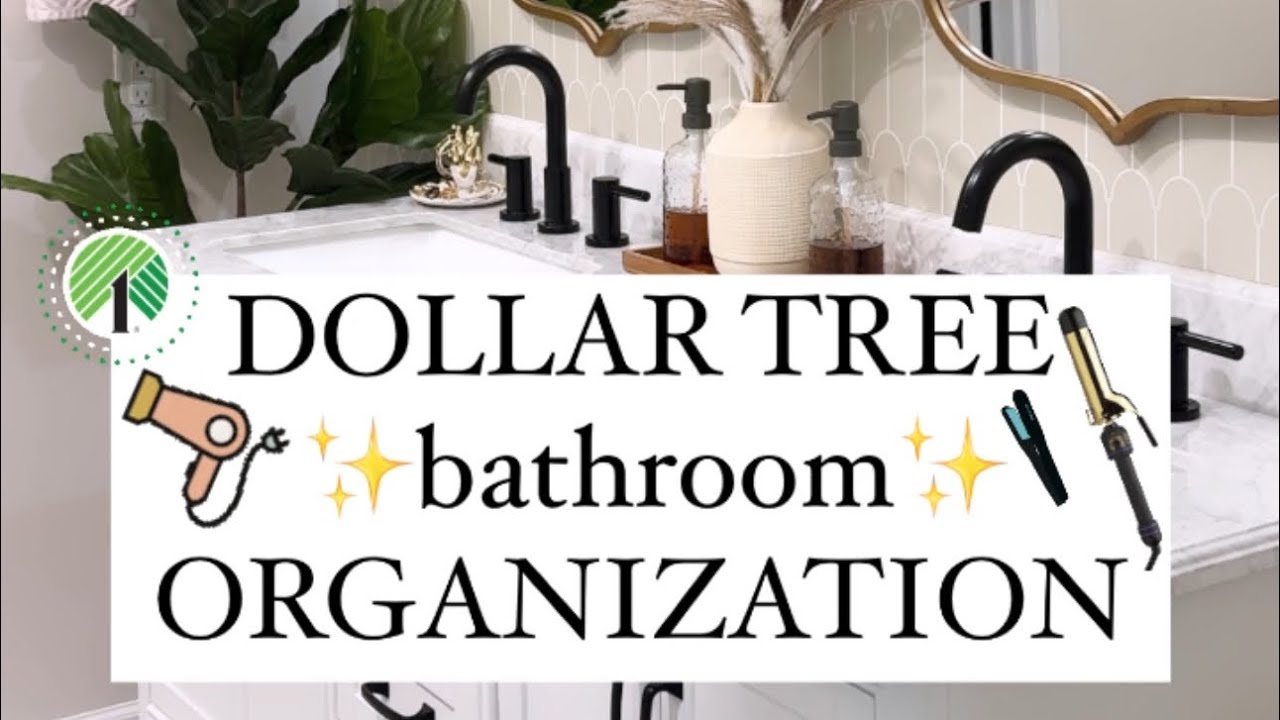VIRAL Dollar Tree Bathroom Organization hacks!