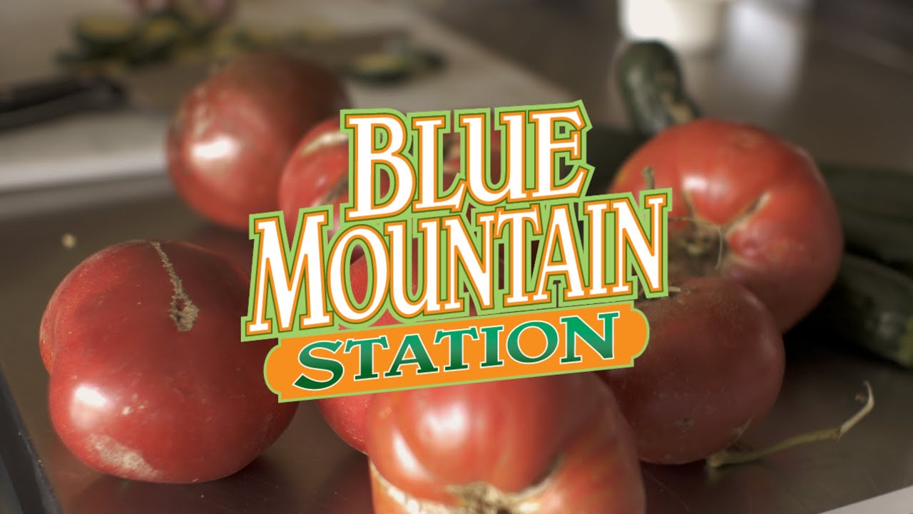Blue Mountain Station in Dayton, WA