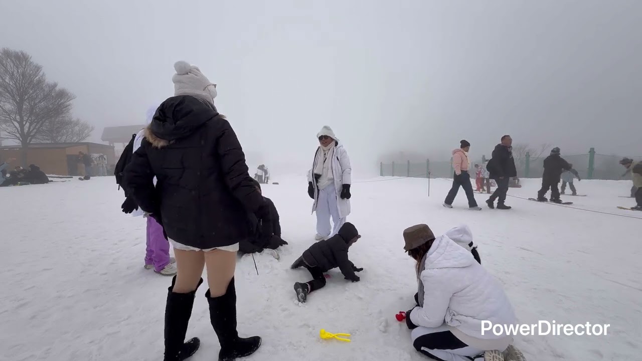 Snow in japan feb 2026