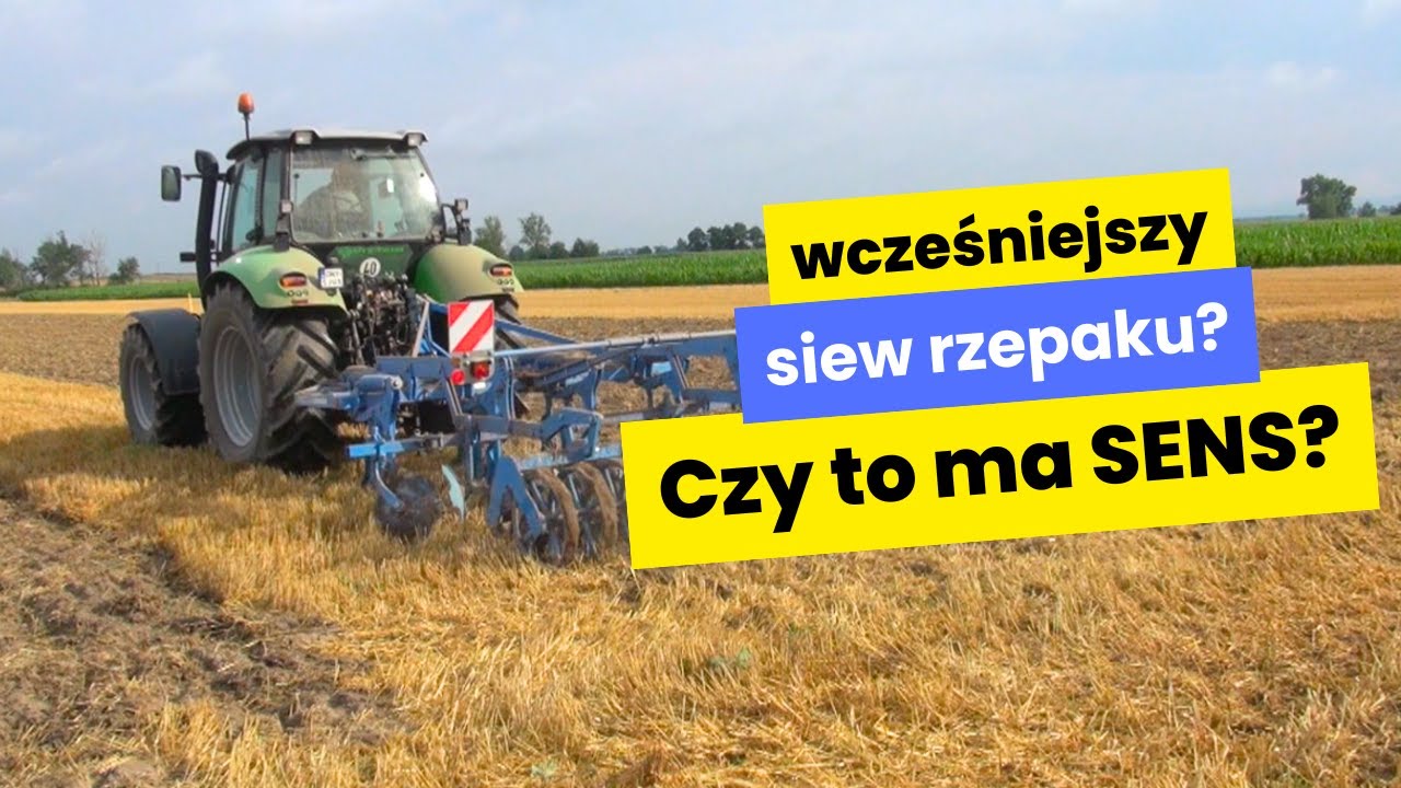 Czy rolnicy przyspieszą siew rzepaku po ekspresowych żniwach?