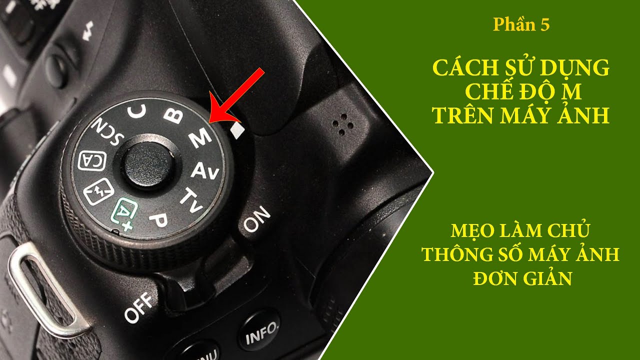 Cách sử dụng chế độ M trên máy ảnh để chỉnh tốc, khẩu độ, ISO chụp nét, đủ sáng