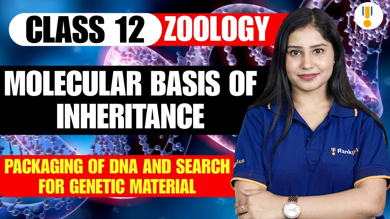 Molecular Basis of Inheritance | Packaging of DNA | Class 12th Zoology | Board Exams 2026 | Rankplus
