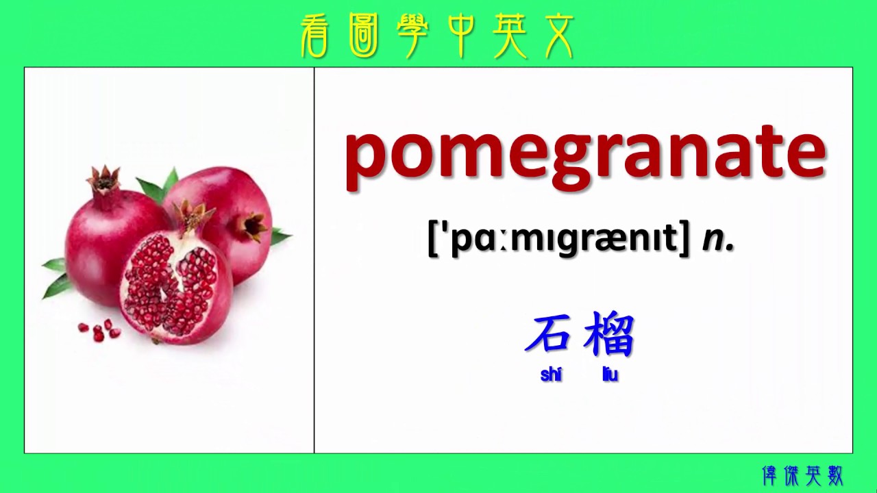 看圖學中英文 60 水果 3 (Learning Chinese and English Vocabularies about Fruit III)
