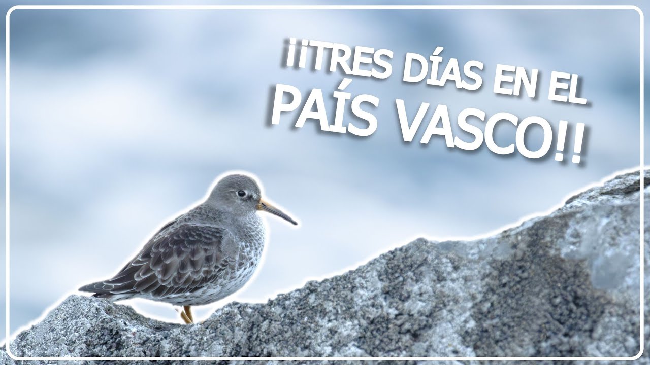 EL PAIS VASCO 🌅 Tres d&iacute;as por sus humedales