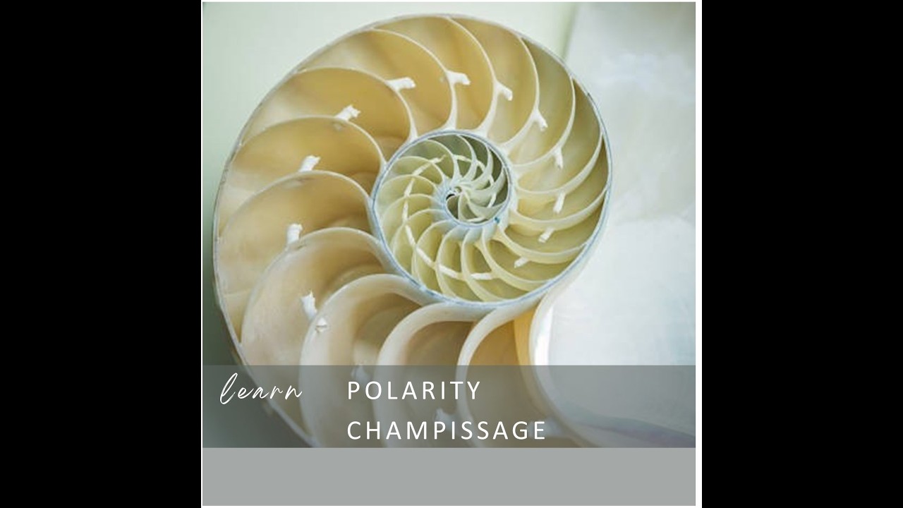 Узнайте больше о Polarity Champissage