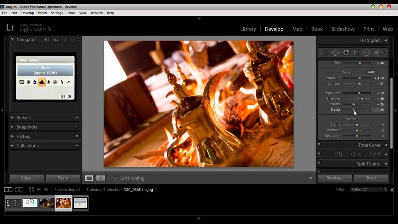 المحاضره الرابعة :: Adobe Lightroom 5