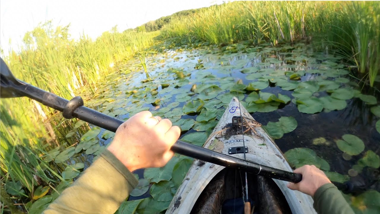 BUSHWHACK for a PB & the Pike that BIT ME!
