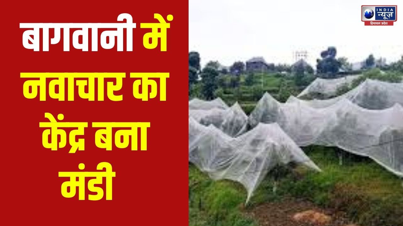 Mandi: Now hailstorm will not affect farmers' crops | India News Himachal