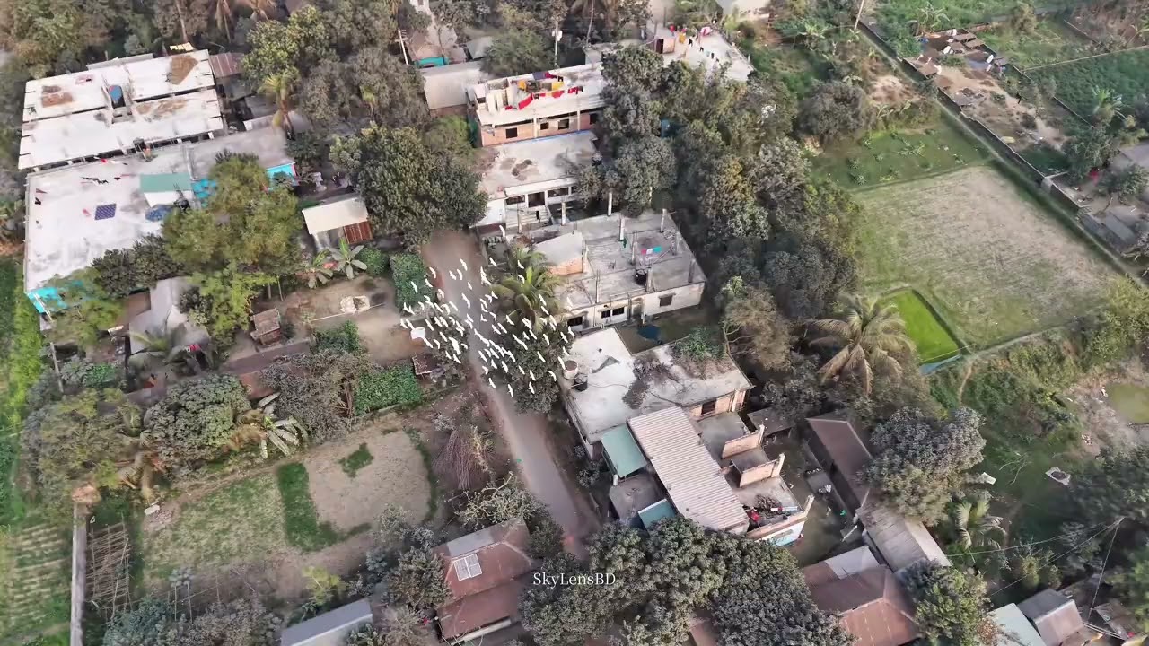 4k video Dhamrai