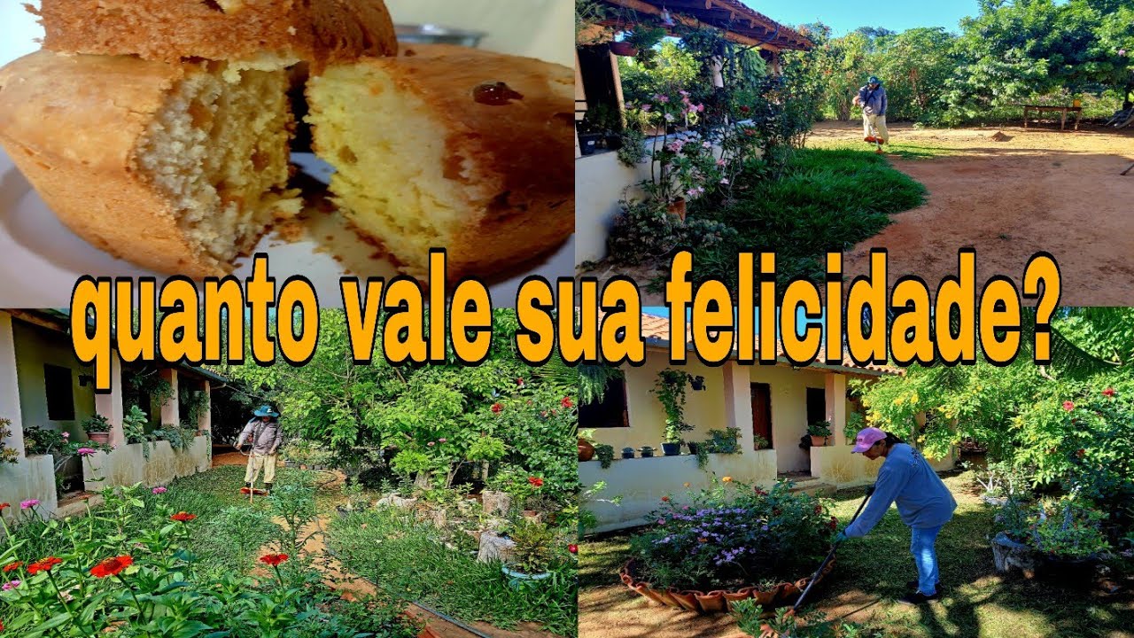CUIDANDO DO NOSSO PARAÍSO FIZ UM DELICIOSO  PÃO COM FRUTAS CRISTALIZADAS