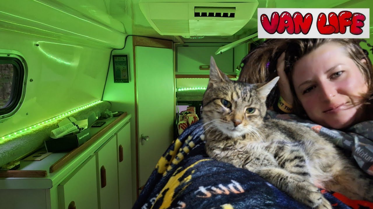 Campervan Camping (with my Cat) - Ramsay's Health Update