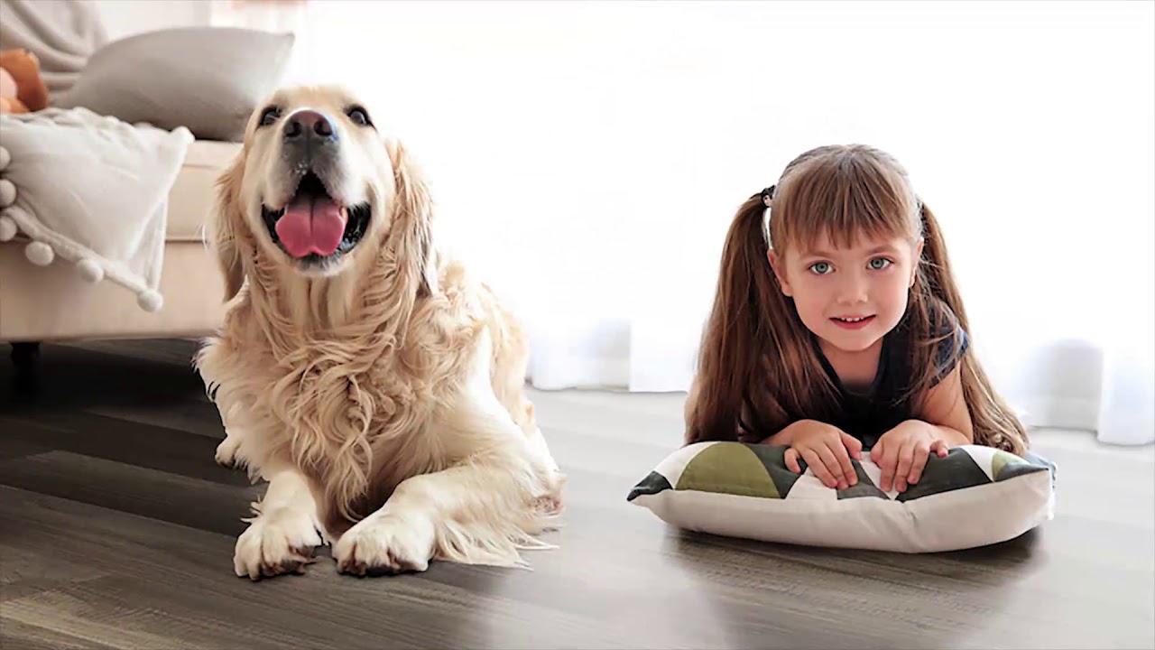 American Concepts Water Proof Laminate Flooring
