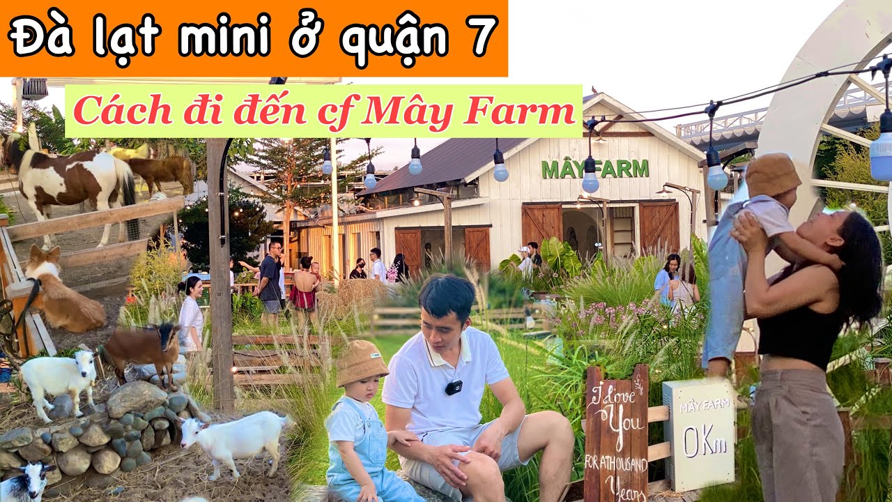 Cà phê Mây Farm quận 7 trải nghiệm không gian Đà Lạt mini