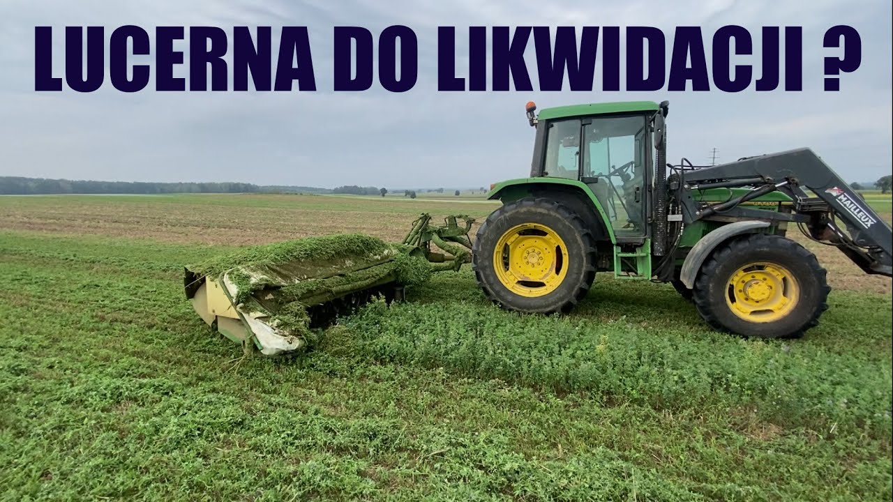 LUCERNA - DOKŁADAMY DO TEJ UPRAWY - CO DALEJ ?
