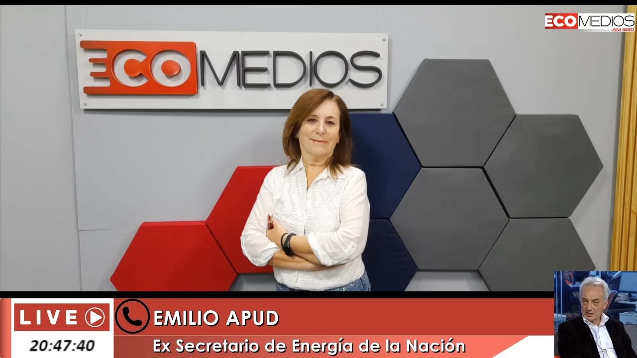 Emilio Apud, ex Secretario de Energía de la Nación A Cambio de Que