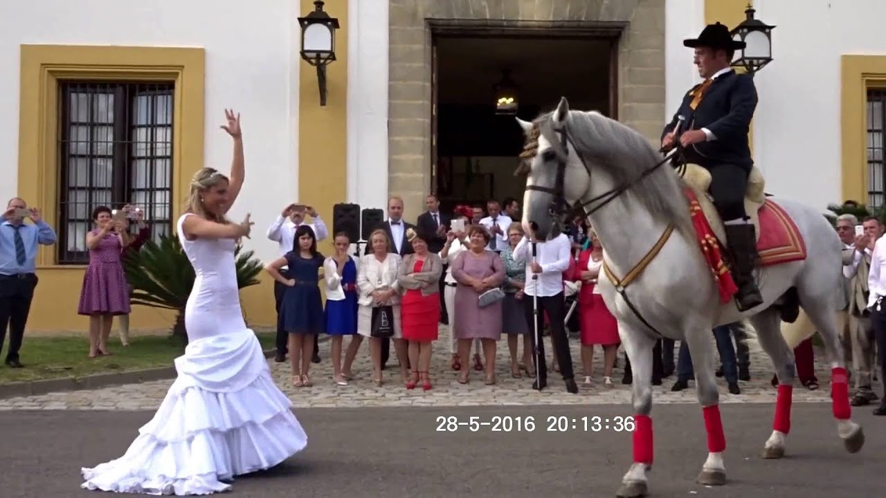 La Novia Baila con el Caballo 💃 Jerez de la Frontera