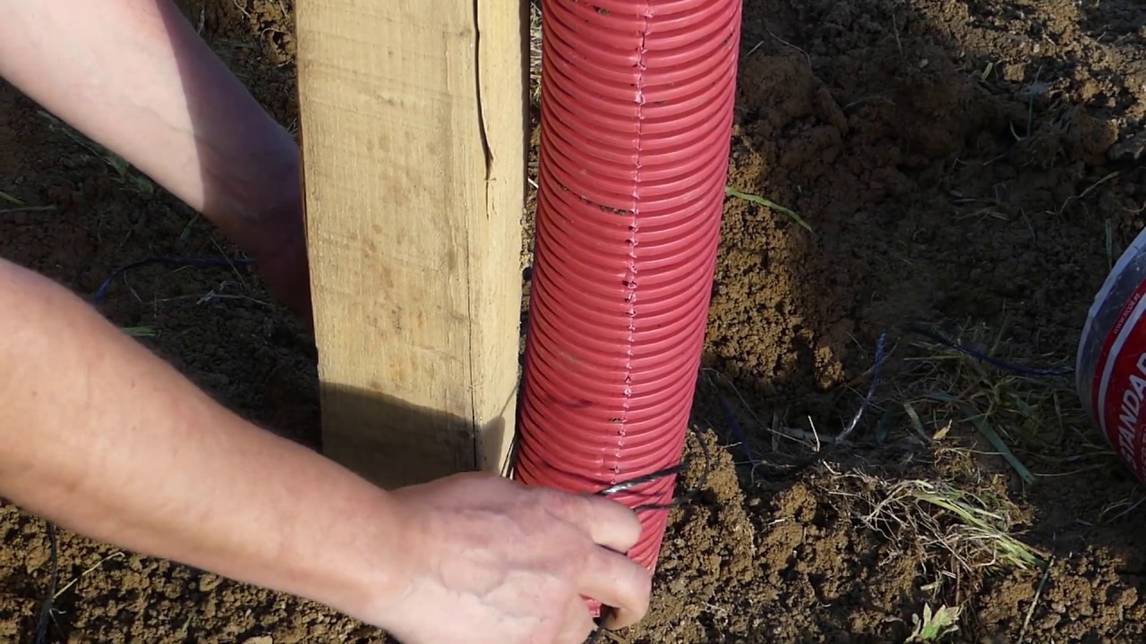 56# Une plantation de 50 arbres fruitiers (2ème partie - suite & fin)