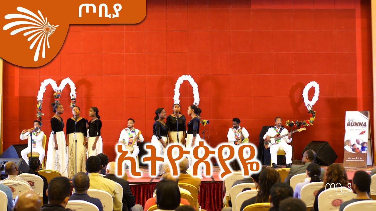 የዳዊት አለማየሁ 