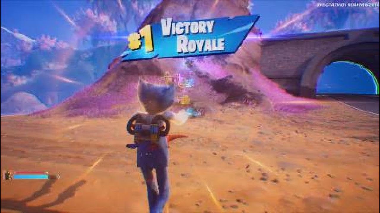Fortnite. Noah cleaned up getting us back 2 back Wins