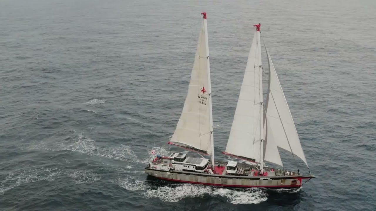 Grain de Sail : Chocolat, Café & Voilier Cargo | Transport Maritime Décarbonné
