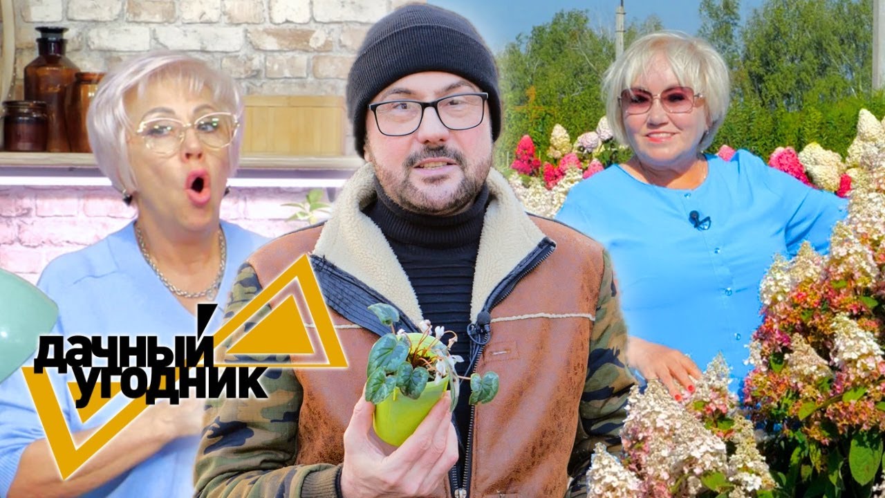 Остатки урожая, первые посевы, шикарные гортензии