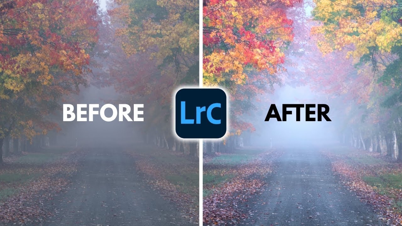 My FAVOURITE SLIDER in Lightroom | Make dramatic changes with only ONE slider.