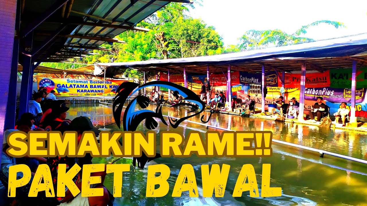 paket bulanan di galatama bawal kw 6