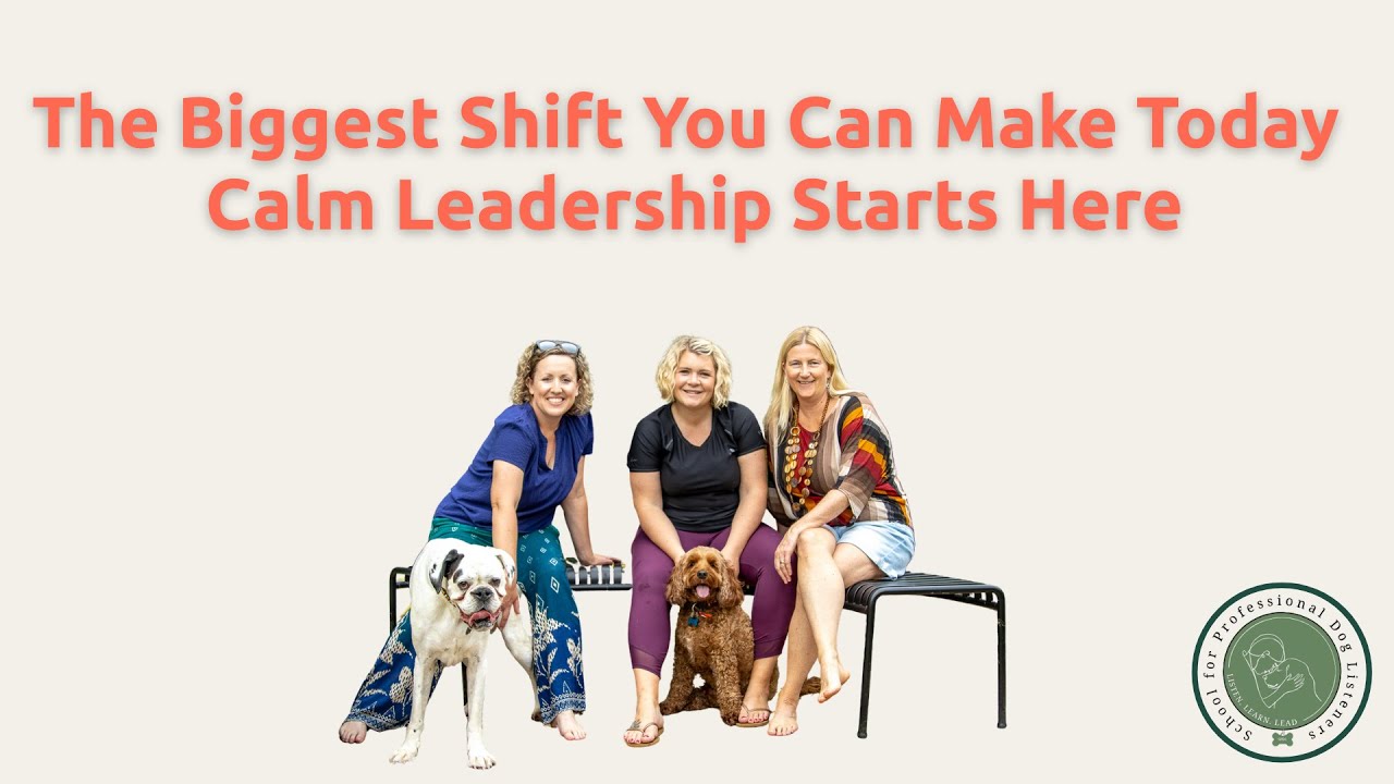 The Biggest Shift You Can Make Today | Calm Leadership Starts Here