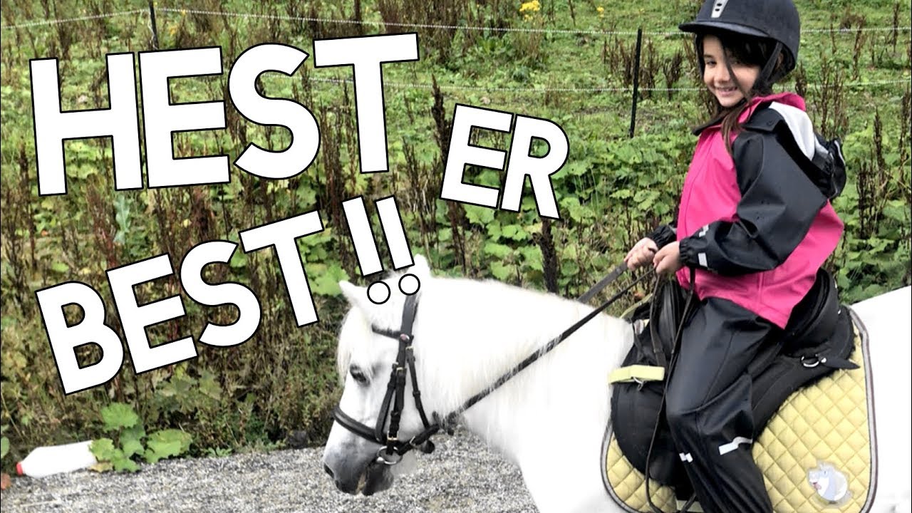 EP.37 - HEST ER BEST!! (Norsk Familievlog)