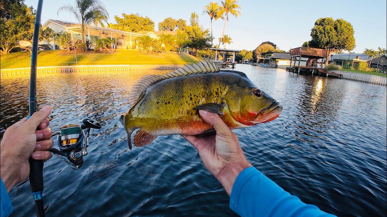 South Florida Canal Fishing for Exotic Fish