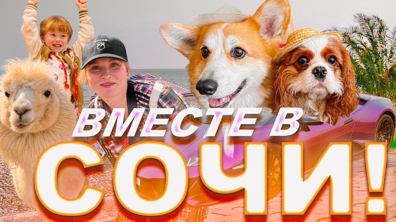 В Сочи с собаками и ребенком на машине!