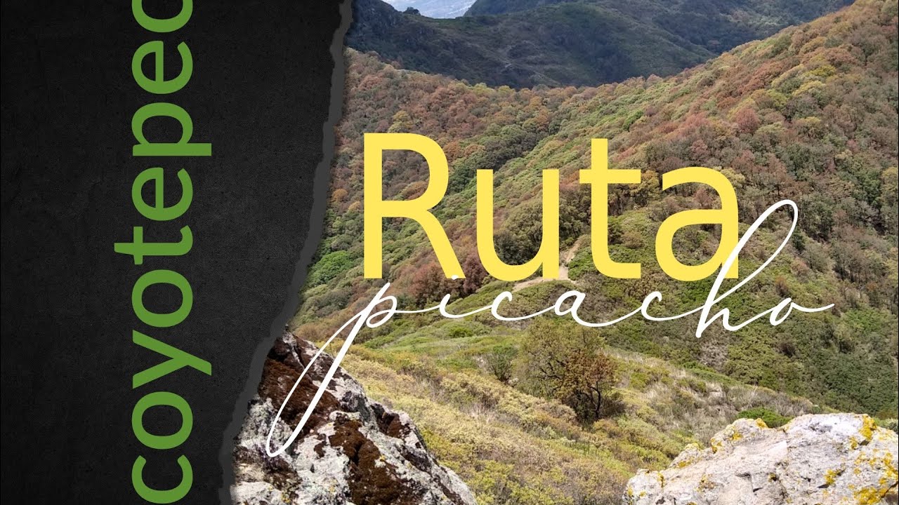 Coyotepec. Ruta al picacho desde coyotepec