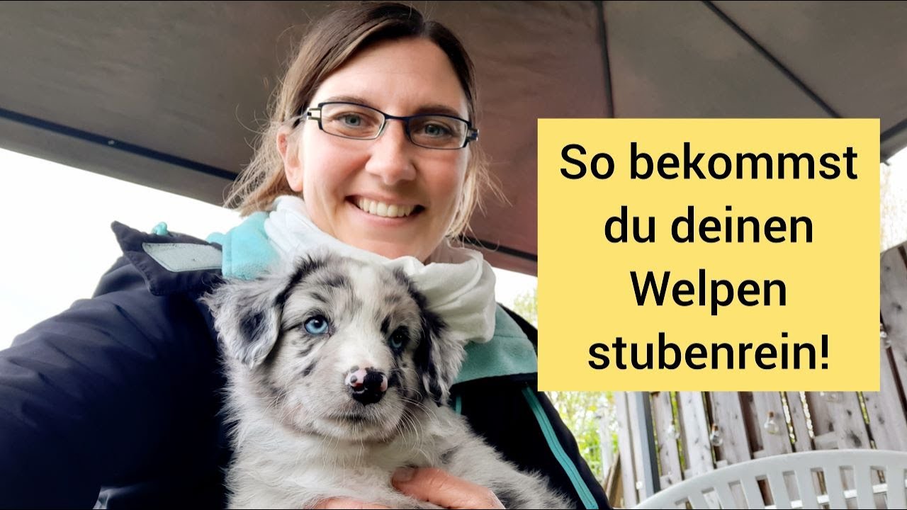 Den Welpen schnell stubenrein bekommen | Stubenreinheit: Tipps für Welpen Besitzer inkl. Outtake ;)