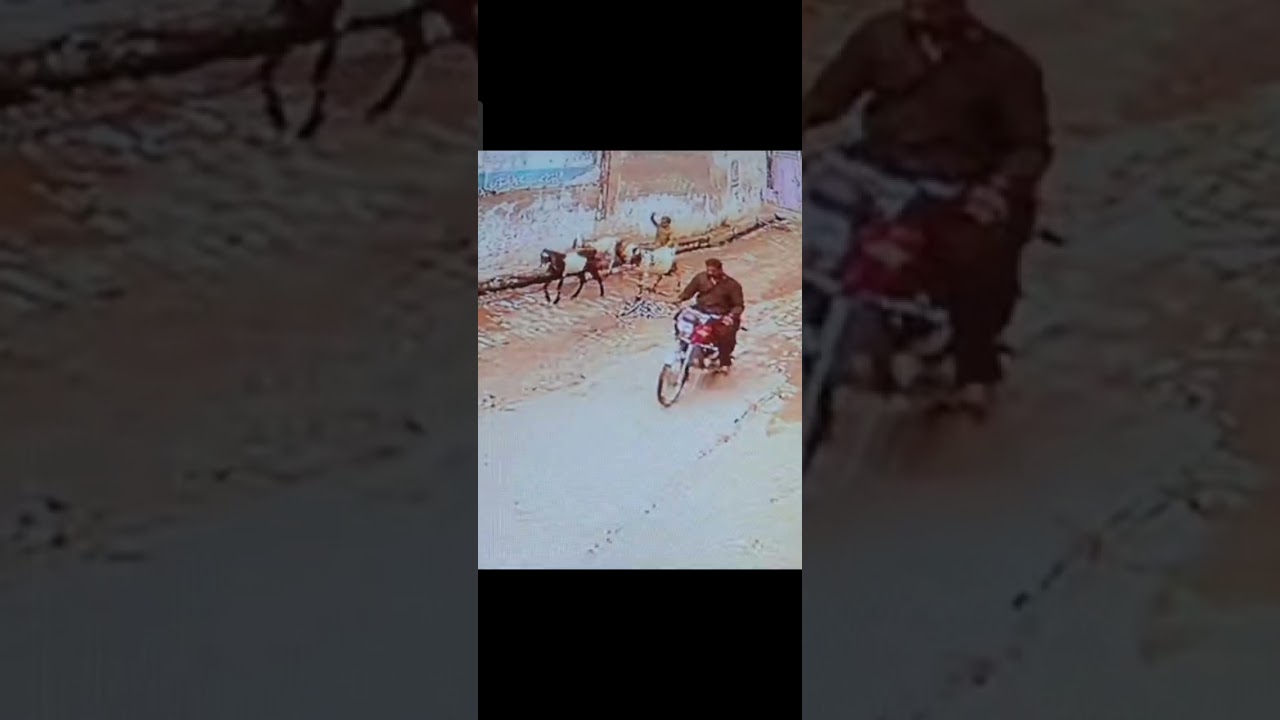 Bakri Chor Bacha Or Bicke Wala...