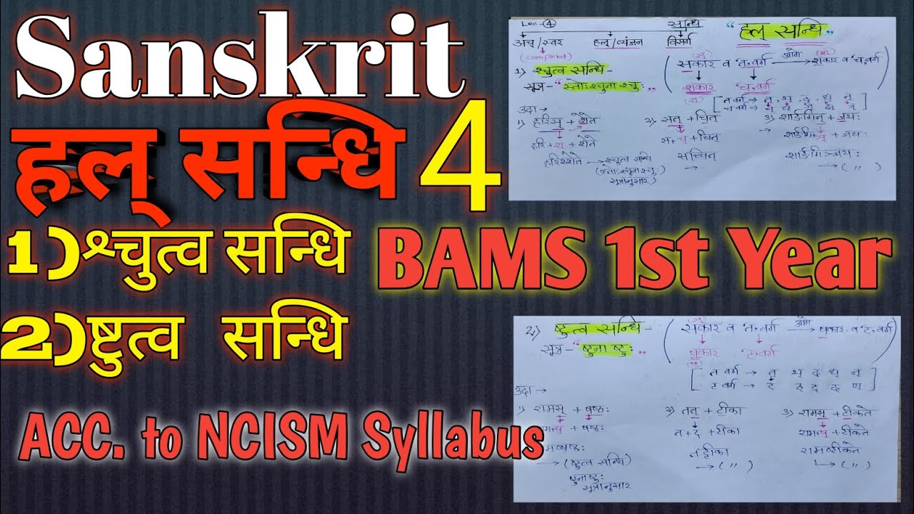 Hal Sandhi - Vyanjan Sandhi | Hal Sandhi In Sanskrit | हल् सन्धि | Bams 1st Year | Sanskrit Vyakaran