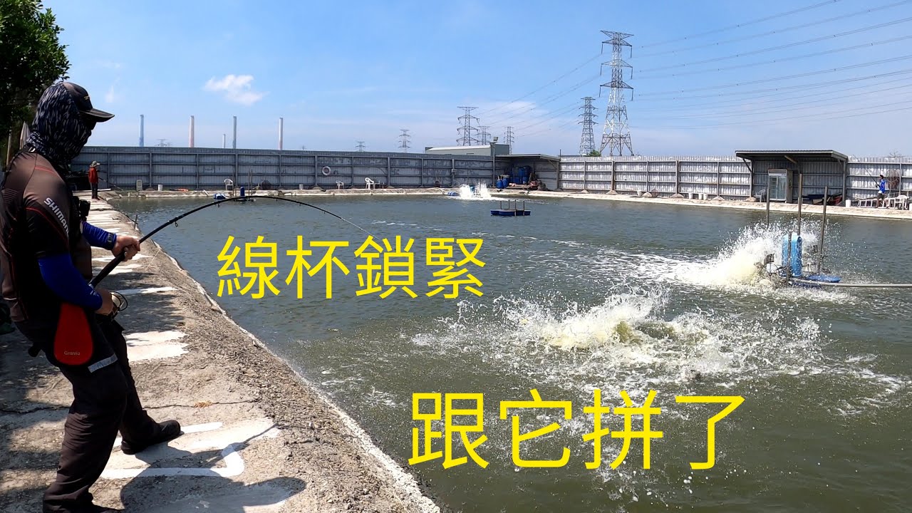 2020/09/16超犯規釣法，池邊行軍中龍膽石斑牠會吃餌嗎？中南海龍膽石斑池（B池）。上興狂技100-300二代 PENN BATTLE8000