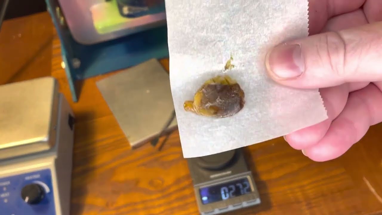 Pressing 3.5 Grams’ Grape Valley Kush into Rosin, 27.1% Yield NFSOT