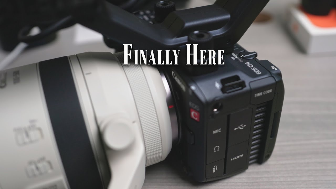 First Impressions with Canon C50 for Wildlife