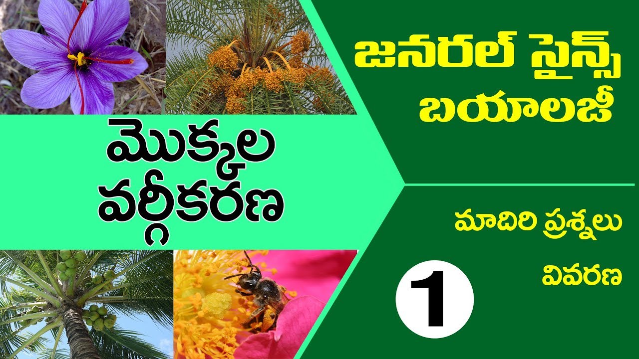 #classification of plants in telugu : జనరల్ సైన్స్ బయాలజీ ప్రాక్టీస్ బిట్స్: biology bits in telugu